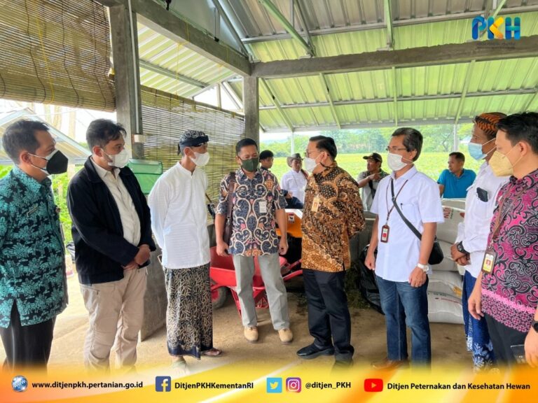 Kementan Dukung Program Desa Peternakan Terpadu Berkelanjutan