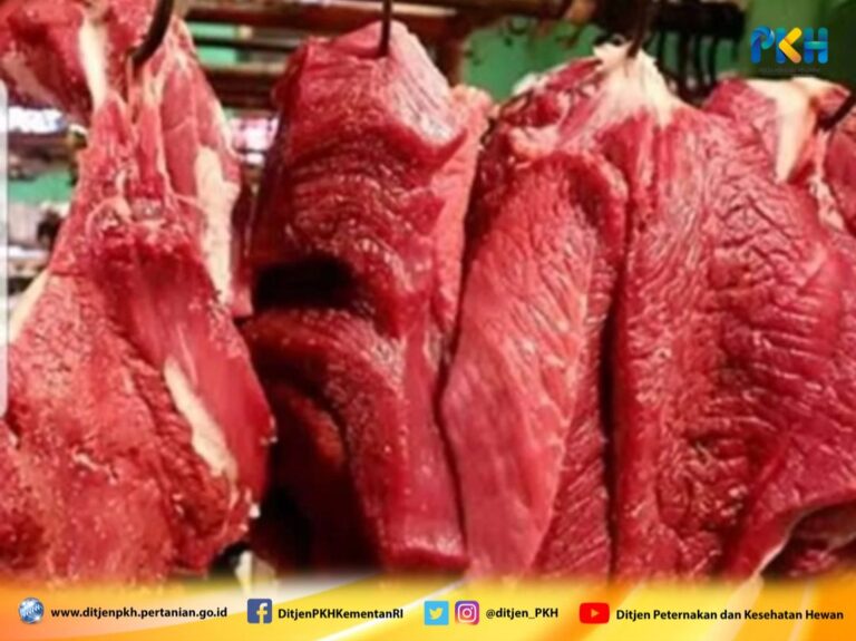 Kementan Tegaskan Stock Daging Jelang Ramadhan Hingga Lebaran Aman