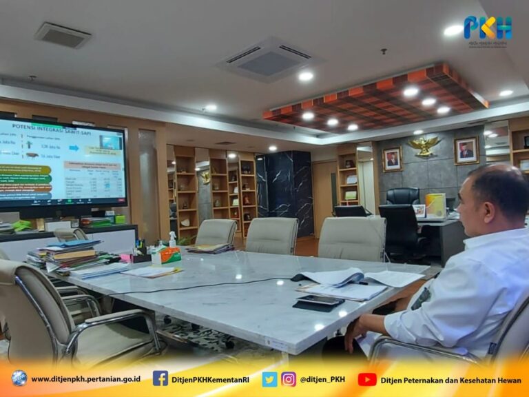 Genjot Produksi Daging Sapi Nasional, Kementan Gencarkan Integrasi Sapi-Sawit