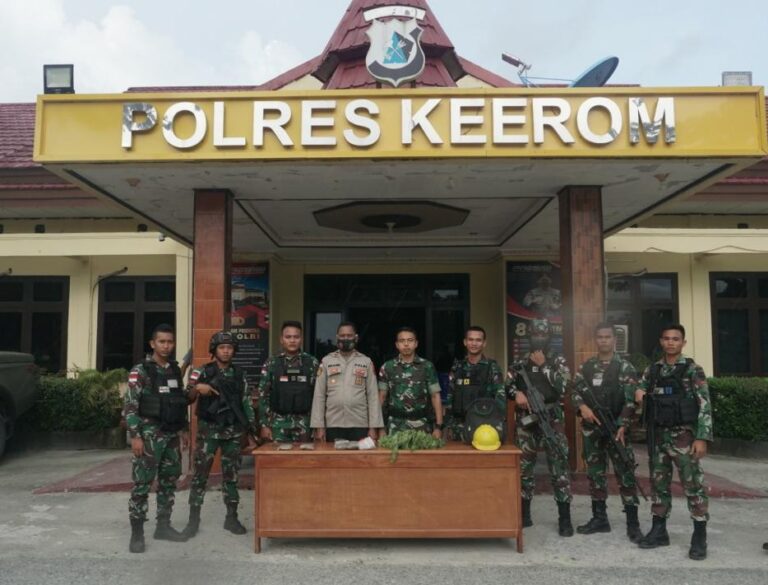 Lakukan Sweeping, Satgas Yonif Amankan Sitaan Ganja