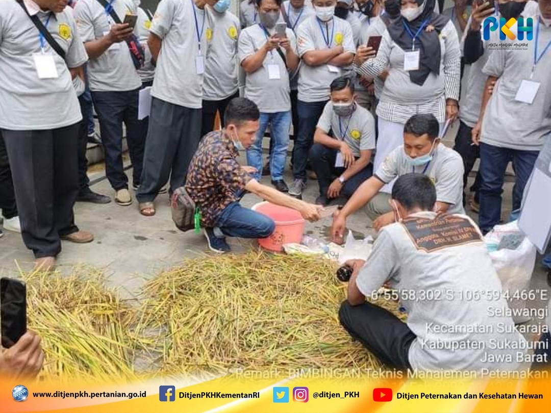 Kementan Perkuat SDM Peternak Nasional Lewat Bimtek