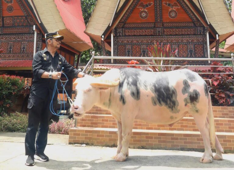 Mentan SYL: Toraja Adalah Aset Dunia