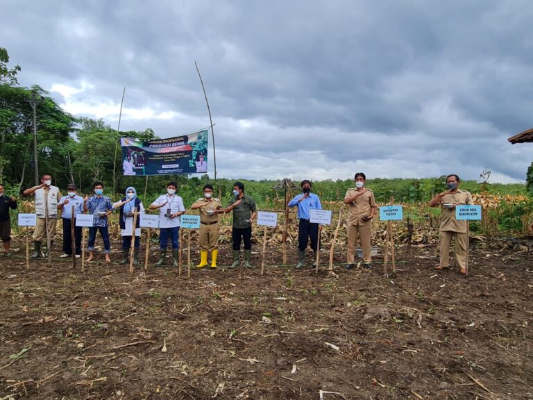 Tanam Benih Kacang Hijau, Gunung Kidul Bangkit jadi Produsen Benih