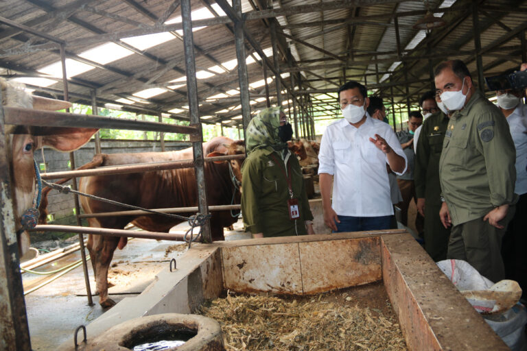 Peternak Jatim Pastikan Stok Aman