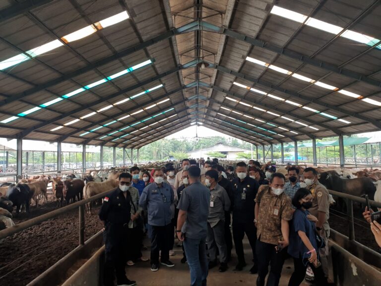 Mentan SYL Pastikan Stock Sapi Siap Potong di Sumut dan Aceh Aman