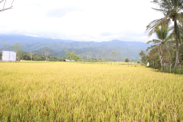 Integrated Farm Jurus Kementan Tingkatkan Pendapatan