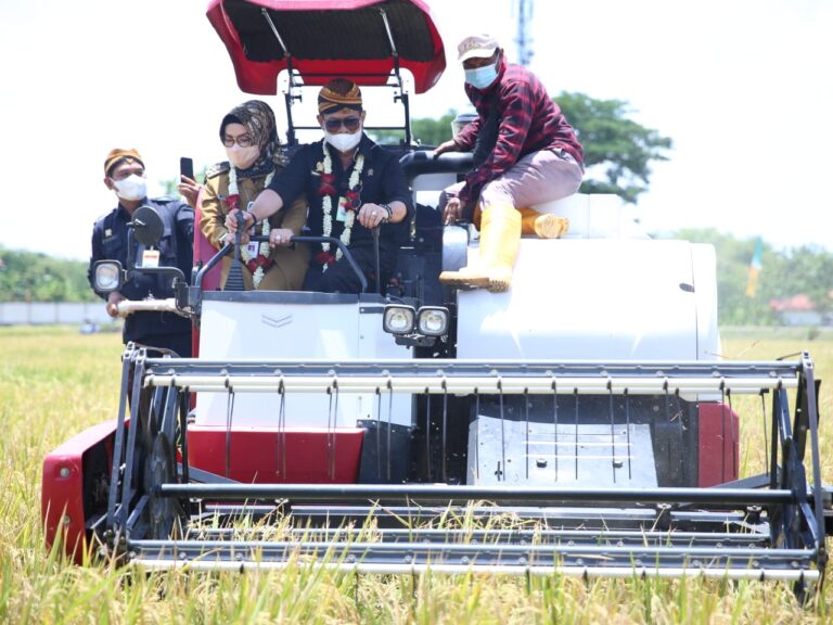 Manfaatkan Bantuan Alsin Kementan, Petani Kalbar Berhasil Naik Kelas