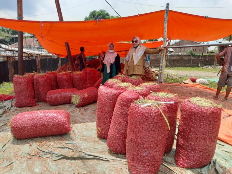 Pengamat Kritik Rencana Impor Bawang Merah; Keberpihakan Kepada Petaninya Dimana?