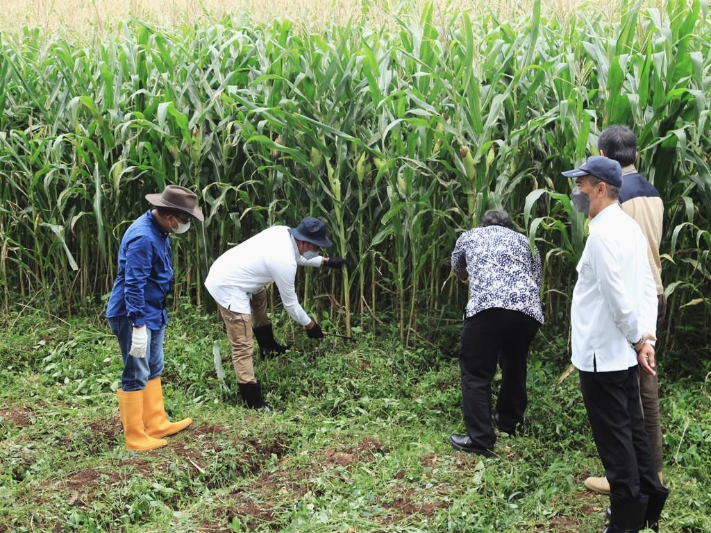 LPDB-KUMKM Dorong Pengembangan Ekosistem Sapi Perah Unpad jadi Percontohan