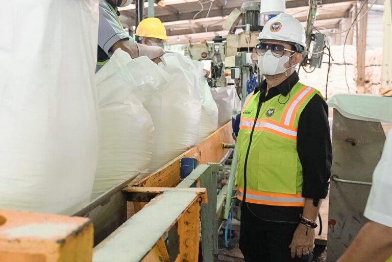 Mentan SYL Cek Kesiapan Supply Pupuk untuk Petani di Parik Pupuk Iskandar Muda