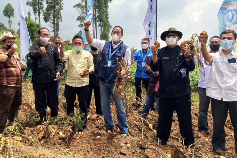 Melalui Koperasi, LPDB-KUMKM Sinergikan Ekosistem Korporatisasi Petani