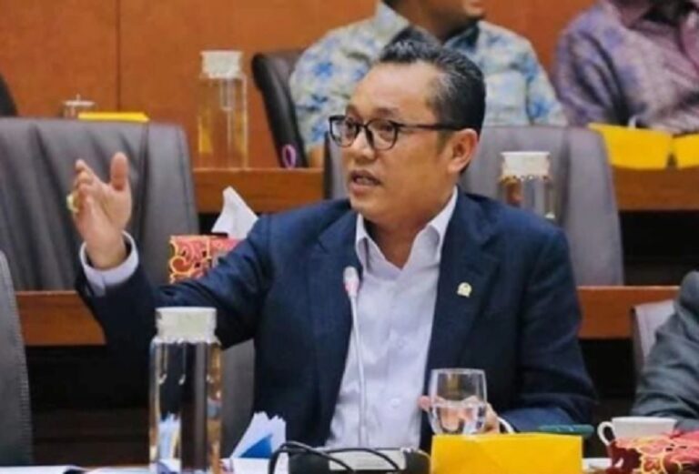 Politikus PDIP Desak Jokowi Turun Tangan Atasi Persoalan Minyak Goreng