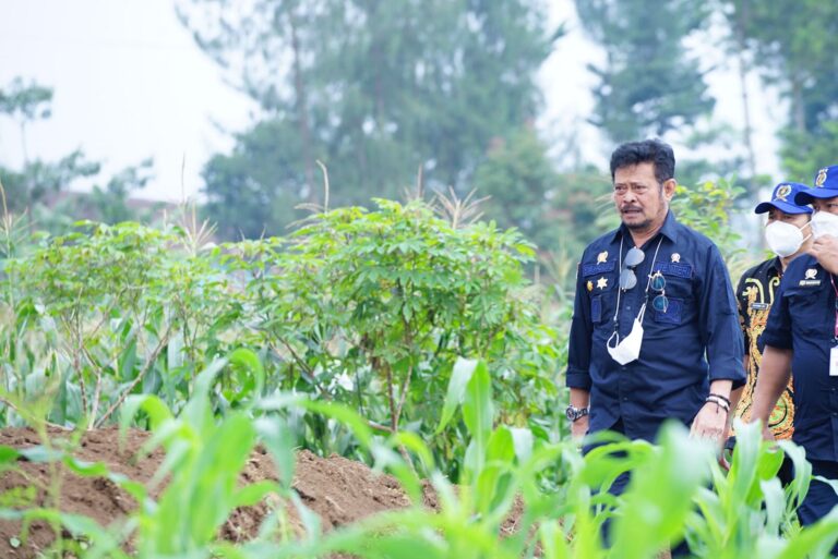 Antisipasi Kemarau 2022, Kementan Dorong Gerakan Panen Air