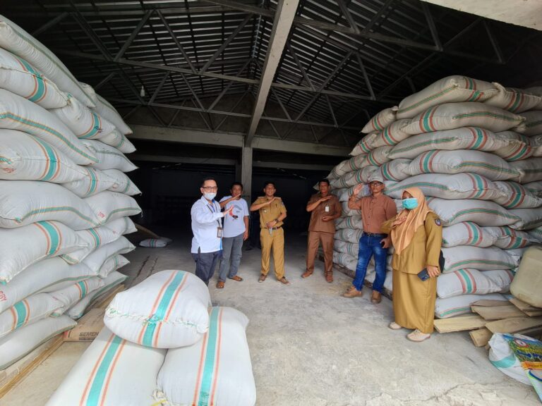 Keberhasilan Desa Mandiri Benih di Bulukumba