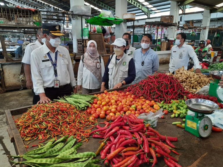 Kementan Turun Langsung ke Kalimantan Barat Pastikan Harga dan Ketersediaan Bahan Pokok Aman