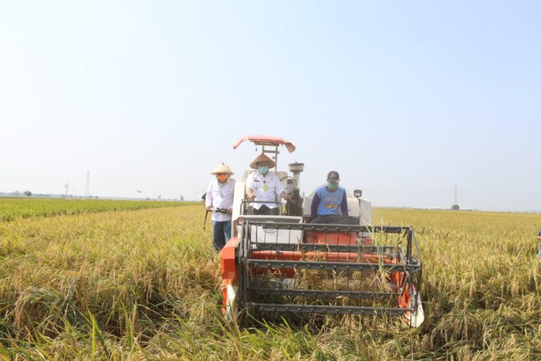 Penyusunan Rancangan SNI Alsintan Langkah Tepat Peningkatan Kualitas
