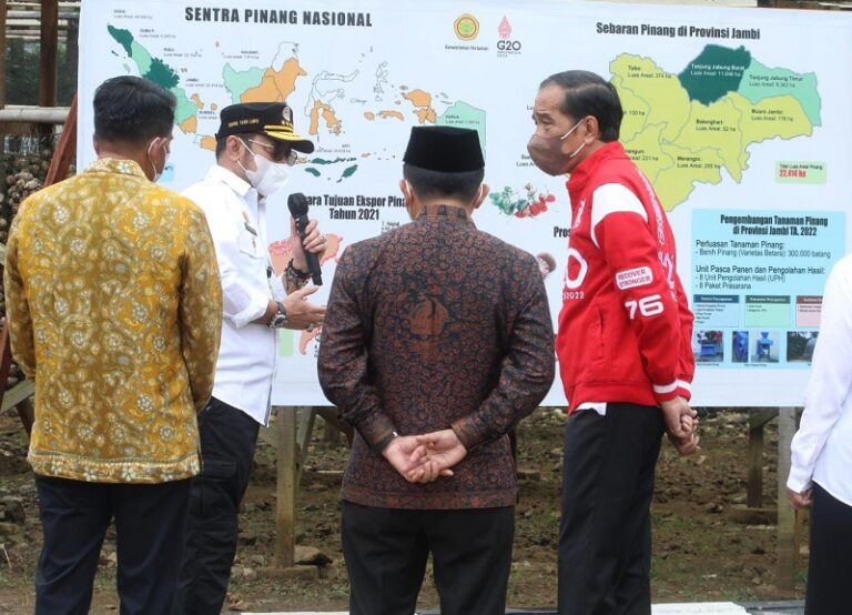 Kementan Komitmen Perkuat Produksi Pinang Penuhi Ekspor