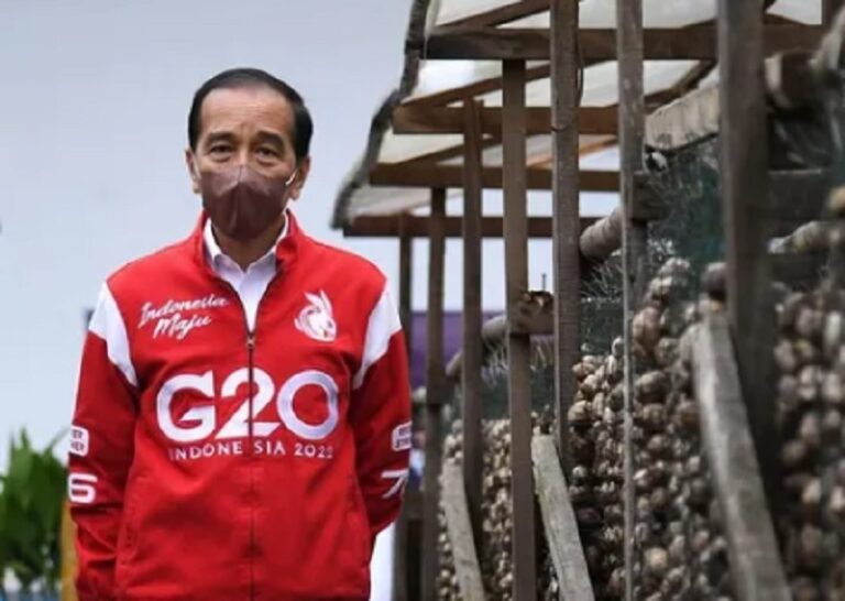 Jokowi Harap Volume Ekspor Pinang Biji Meningkat