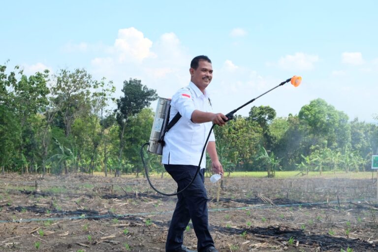 Langkah Awal Tekan Biaya Produksi, Kabupaten Grobogan Lakukan Demplot Ramuan Biosaka