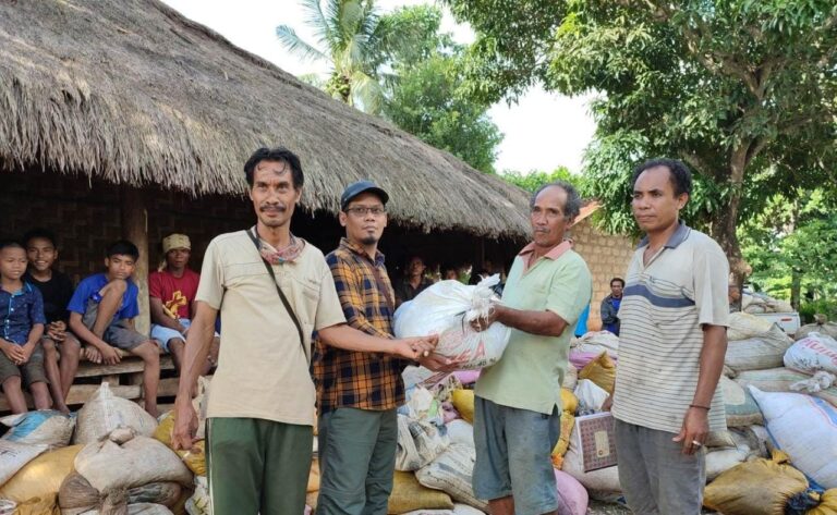 Bersama Kementan, Petani Sumba Barat Daya Berhasil Tangkap Belalang Kembara Hingga 8 Ton