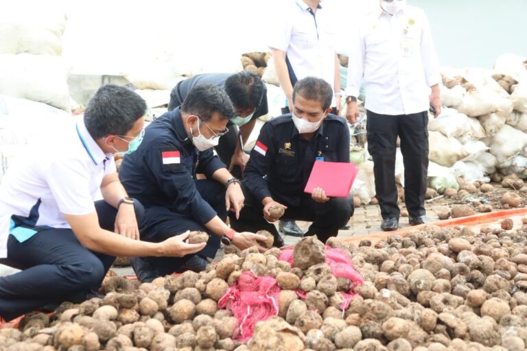 Kementan Dukung Investor Bangun Pabrik Olahan Porang Skala Besar di Lombok Barat