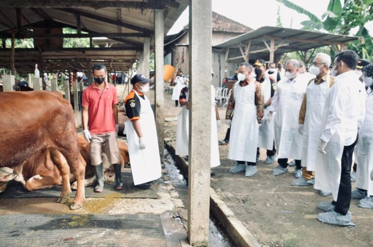 Kementan Siapkan Tenaga Medis Terlatih Khusus Tangani PMK