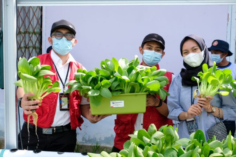 Hadapi Perubahan Iklim, Kilang Pertamina Plaju Dukung 11 Lokasi Proklim di Kota Palembang