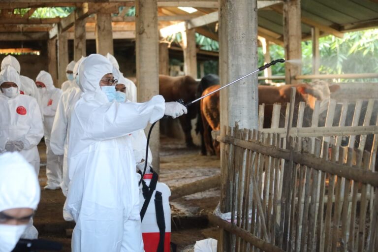 Kendalikan PMK, Kementan Kirim Obat-Obatan dan APD ke Sejumlah Wilayah