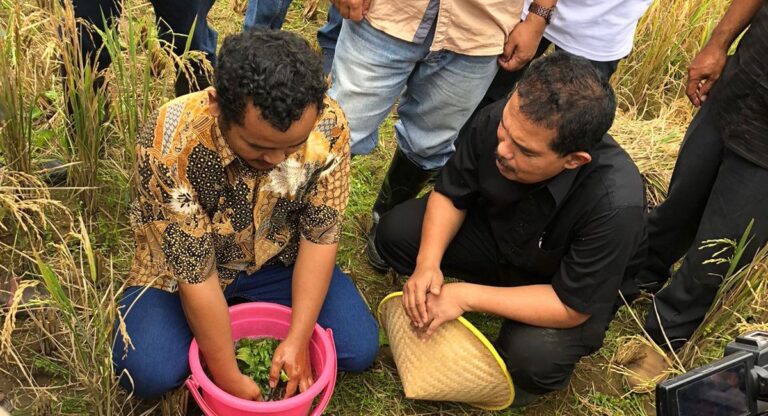Kurangi Penggunaan Pupuk Kimia, Kementan Apresiasi Petani Peramu Rumput Pengganti Pupuk