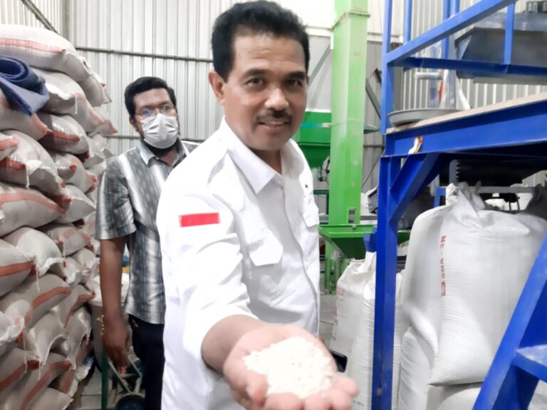 Kementan Tingkatkan Produksi Beras Lewat Revitalisasi RMU dan Inovasi Dryer