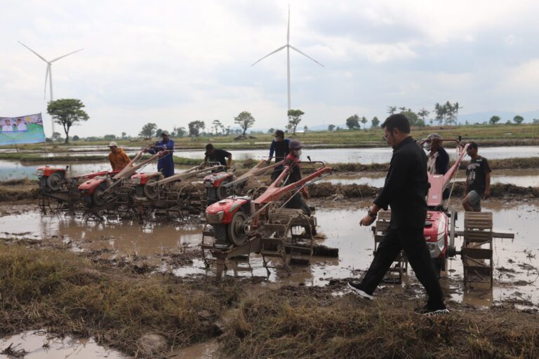 2022, Kementan Komitmen Realisasikan 100 Persen Pengadaan Alsintan Bersertifikat TKDN