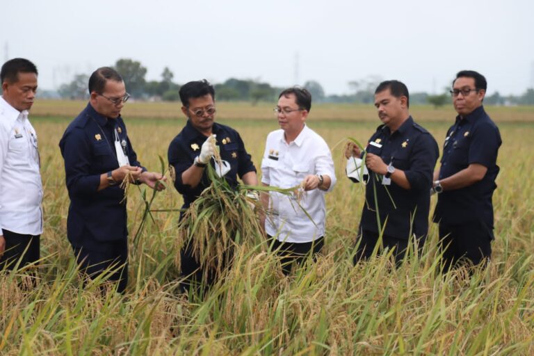 Pakar IPB Dukung Pola Tanam IP400