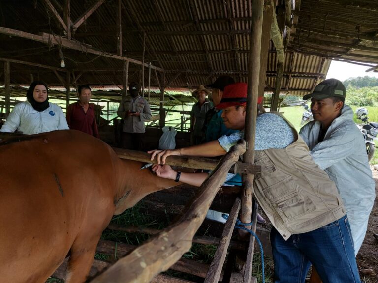 Terima Vaksin PMK, Gubernur Kalsel Apresiasi Keseriusan Kementan