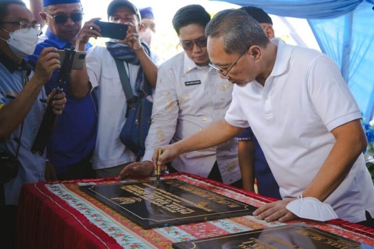 Kunjungi Donggala, Zulhas Cek Harga Minyak Goreng dan Bapok