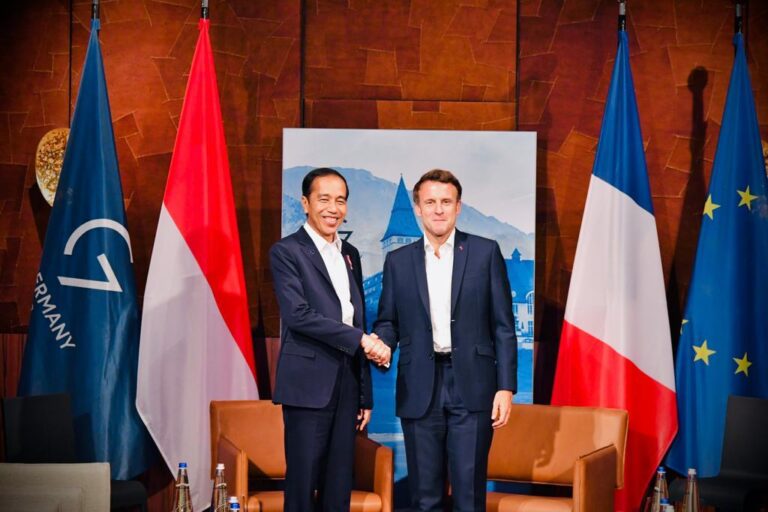 Jokowi Puji Langkah Presiden Prancis Wujudkan Kedamaian di Ukraina