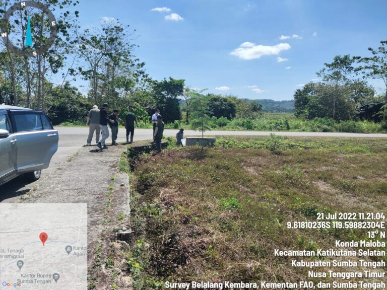 Bersama FAO, Kementan Terus Lakukan Survey Lapangan untuk Pengendalian Belalang Kembara