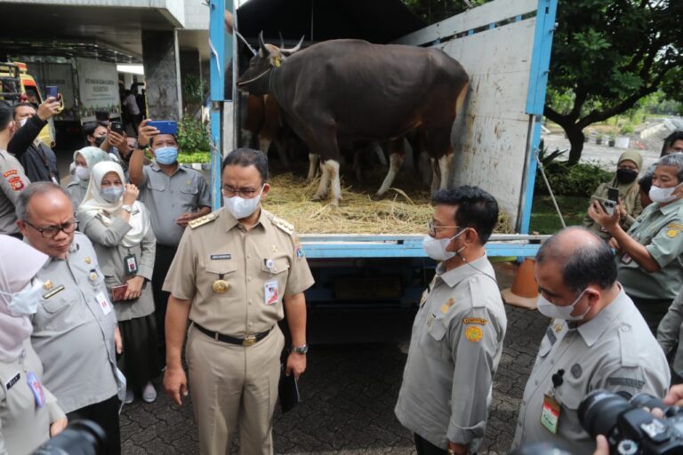 Anies Baswedan Apresiasi Langkah Cepat Kementan Siapkan Pangan Jelang Idul Adha
