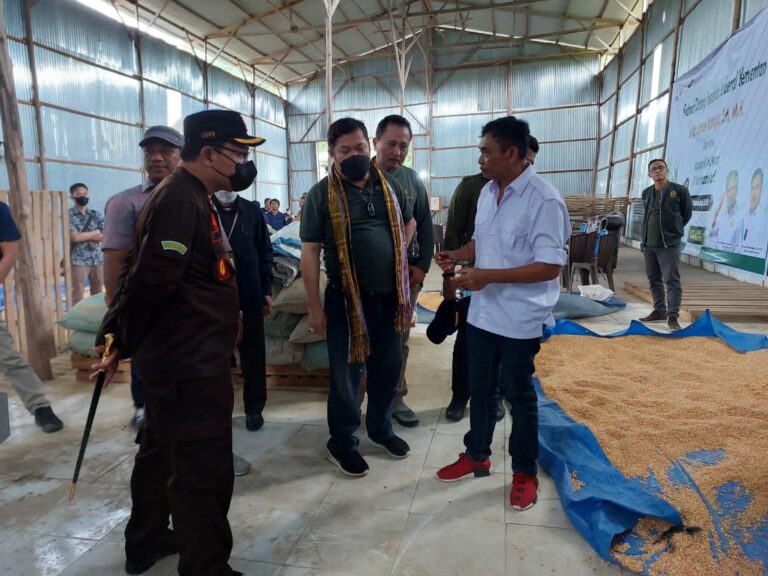 KTNA: Food Estate Bisa Menjadikan Indonesia Sebagai Negara Kuat di Dunia