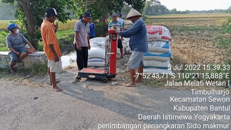 Petani Bantul Siap Penuhi Benih Genjah Kebutuhan IP400 Secara Insitu