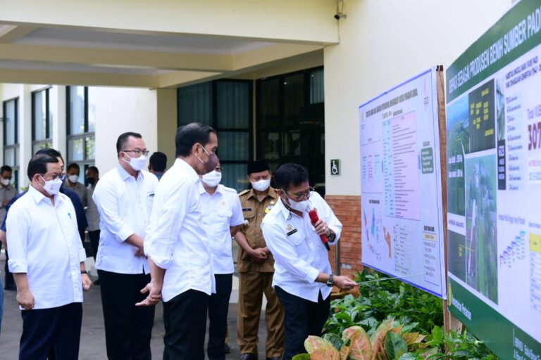 Kementan Pastikan Sagu dan Kelapa Terus Dikembangkan