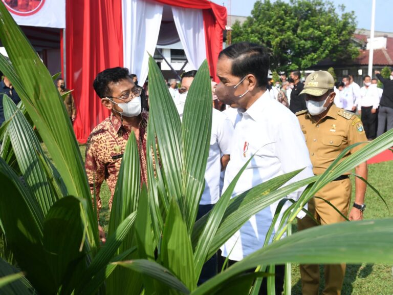 Tindak Lanjuti Arahan Presiden, Mentan SYL Targetkan Produksi 1 Juta Benih Kelapa