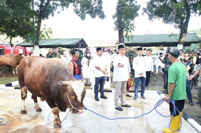 Usai Shalat Idul Adha, Mabes TNI Sebar 945 Kupon Daging