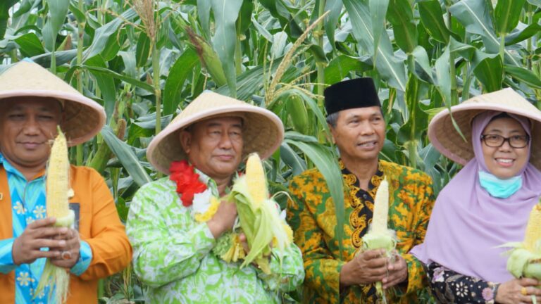 Kemenag Gelar Panen Raya dari Program Inkubasi Wakaf Produktif
