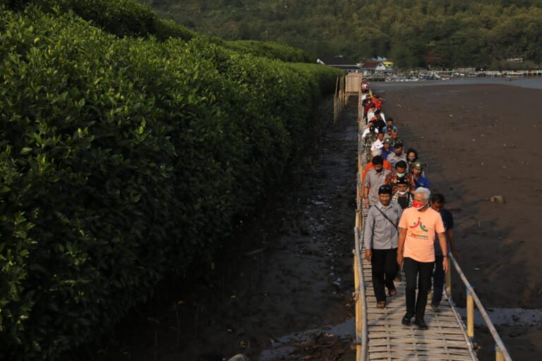 Lestarikan Alam, Ganjar Canangkan Ekowisata Mangrove Muara Kali Ijo