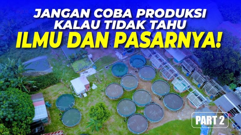 Panduan dan Analisa Budidaya Ikan Teknik Bioflok untuk Skala Usaha