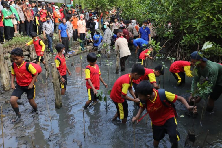 Serunya Ganjar Tanam Mangrove Bareng Pelajar di Muara Kali Ijo
