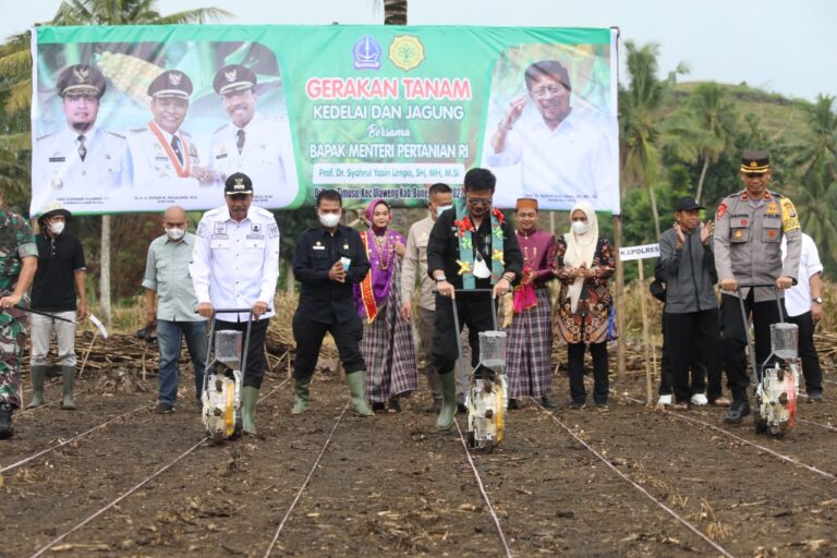 Kurangi Impor, Kementan Tingkatkan Produksi dan Pasca Panen Kedelai Lokal