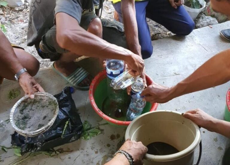 Kementan Kenalkan Bahan Alami Biosaka di Kawasan Food Estate Sumba Tengah