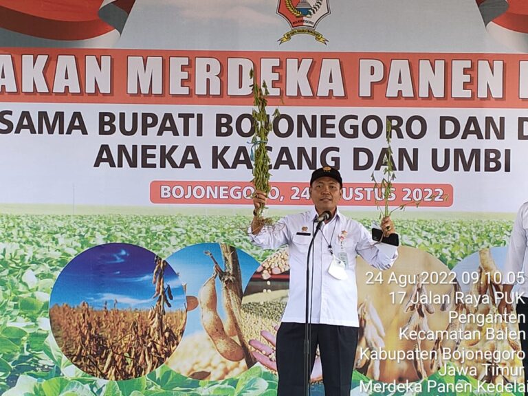 Kementan Lakukan Gerakan Merdeka Panen Kedelai, Produktivitas 1,9 ton Per Hektar di Bojonegoro