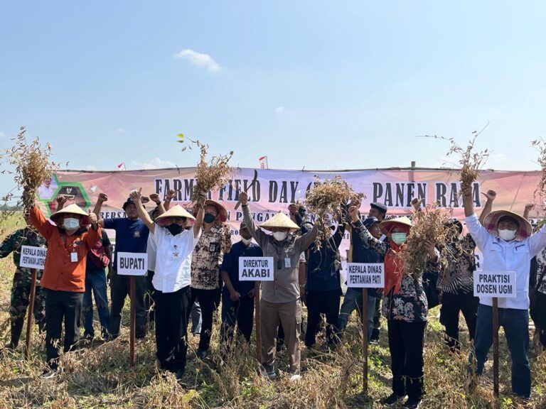 Peringati Hari Kemerdekaan, Kementan Gelar Gerakan Panen Kedelai di Pati